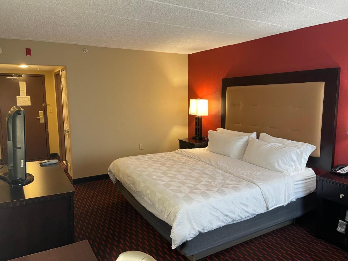 Wyndham Garden Dover Exterior photo